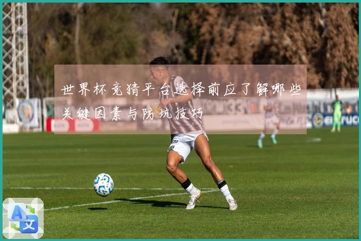 世界杯竞猜平台选择前应了解哪些关键因素与防坑技巧