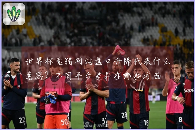 世界杯竞猜网站盘口升降代表什么意思？不同平台差异在哪些方面