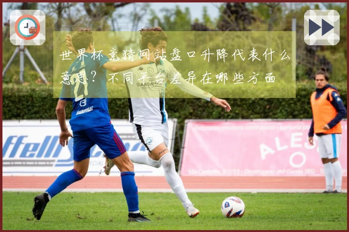 世界杯竞猜网站盘口升降代表什么意思?不同平台差异在哪些方面
